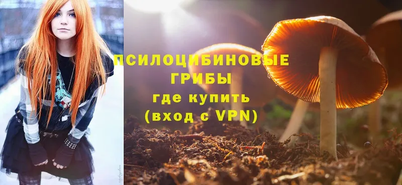 Галлюциногенные грибы Psilocybine cubensis  Ревда 