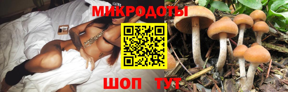 Ревда  Псилоцибиновые грибы MAGIC MUSHROOMS  Вход с VPN  Галлюциногенные грибы прущие грибы 